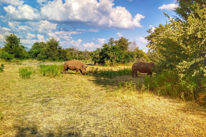 White Rhino Walk in the Mosi Oa Tunya - Location