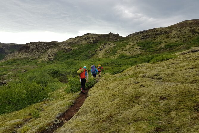 Wild Iceland Nupstaðarskógar Expedition - Directions