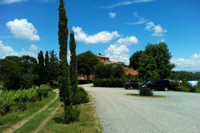 Wine and Cheese Tastings Southern Tuscany Shoreexcursion From Civitavecchia Port - Infant and Cancellation Policies