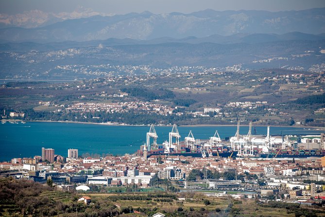 Wine Fountain Tour From Koper - Additional Information