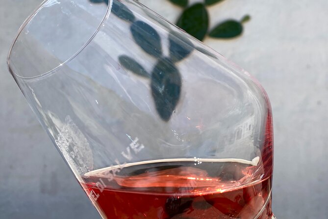 Winery Tour and Tasting in Salento - The Sum Up