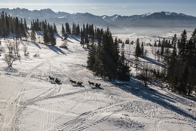 Zakopane and Horse Sleigh Ride in the Countryside, Private Tour From Krakow - Inclusions