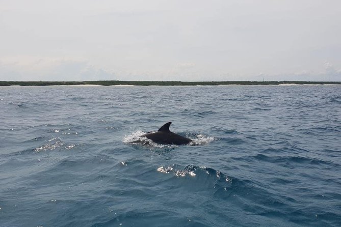 Zanzibar Deep Sea Fishing & Local Fishing. - Additional Booking Information