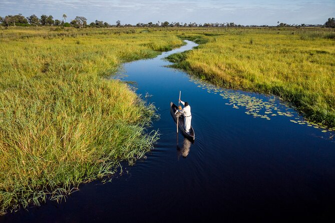 7-Day Cape Town and Karongwe Private Safari Package - Good To Know