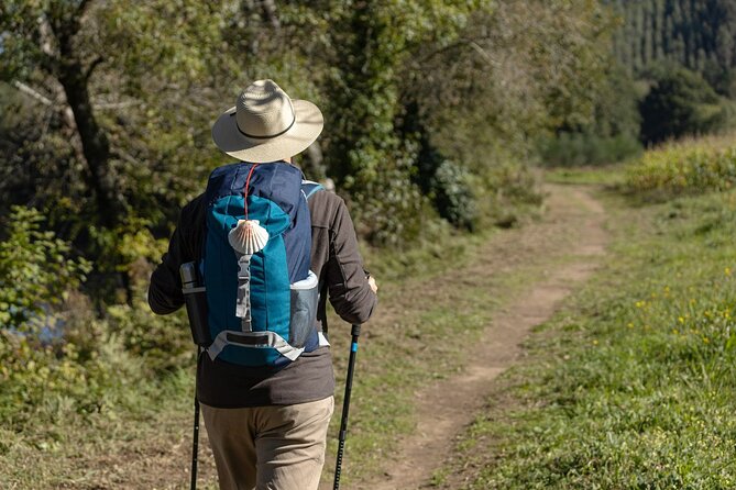 7-Day Portuguese Camino De Santiago Tour From Tui - Good To Know