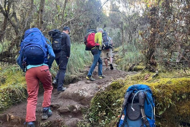 7-Day Private Kilimanjaro Trekking via Rongai Route - Itinerary Details