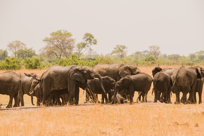 7 Day Tanzania Camping Safari Experience - Good To Know
