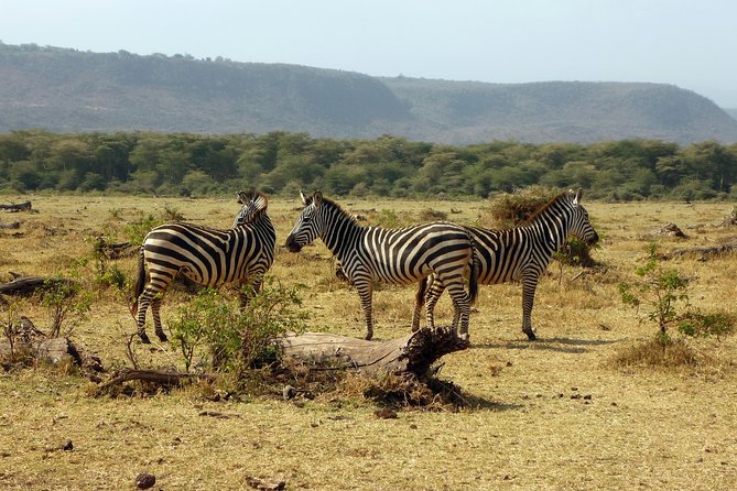 7-Day Tanzania Safari Tour: Tarangire, Lake Manyara, Serengeti and Ngorongoro