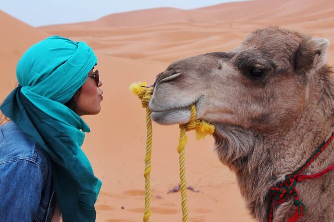 7 Day Tour in Marrakech Essaouira The Sahara Desert - Good To Know