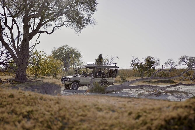 7-Day Tour to Zimbabwe National Parks, Falls & Chobe NP - Good To Know