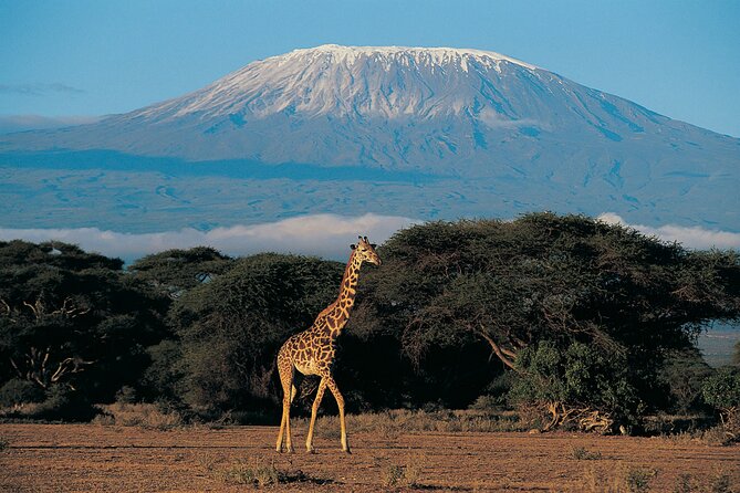 7 Days Mount Kilimanjaro Climbing via Machame Route - Good To Know