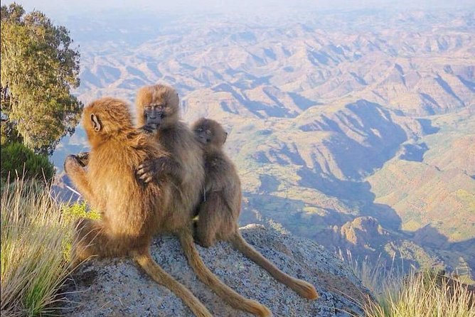 7 Days Northen Ethiopia Tour - Good To Know