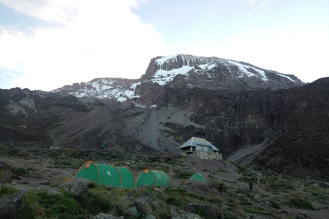 7 Days Rongai Route Climbing Mt. Kilimanjaro - Good To Know