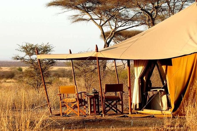 7 Days- Southern Tanzania Camping Safari Experience - Good To Know