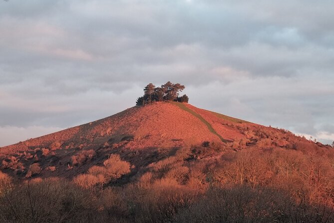 7 Hours Full Day Tour of West Dorset - Good To Know