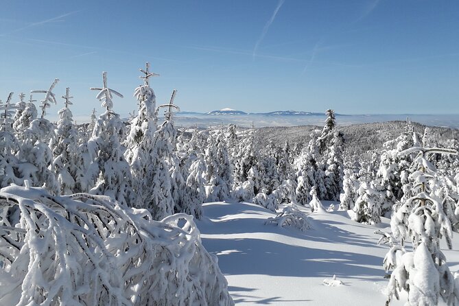1-Day Private Snowshoe Hike in the Gorce Mountains Near Krakow - Operating Hours and Confirmation
