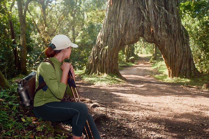 1 Day Short 4x4 Safari: ARUSHA NATIONAL PARK Incl. Lodge-Lunch - Dining Experience