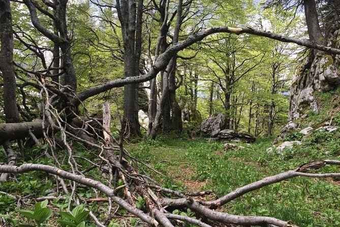 1 Day White Rocks Wilderness - Vihoraski Trail Hike From Zagreb - Meeting and Pickup Details