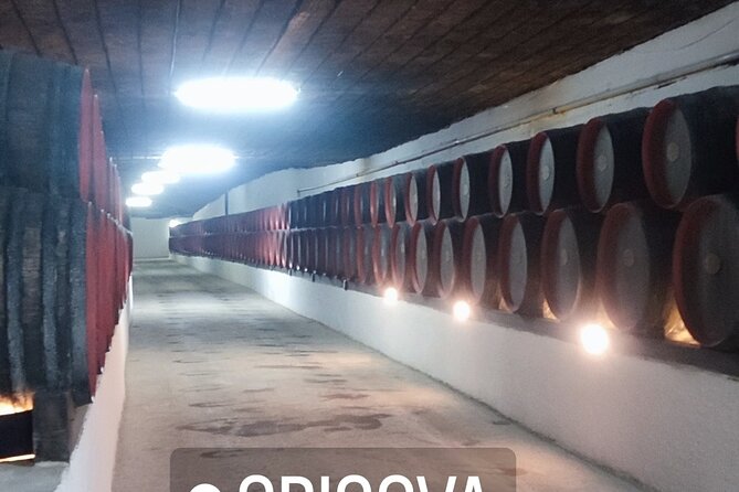 1 Day: Wine Tasting Tour to Milesti Mici and Cricova Cellar From Moldova - Important Guidelines