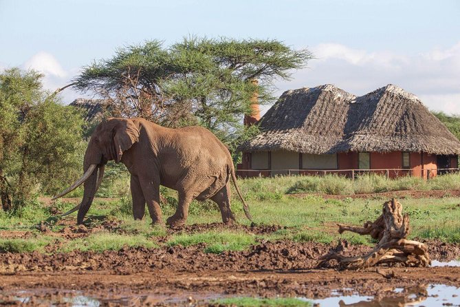 10 Day Kenya Safari - Itinerary Overview
