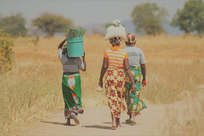 10 Day Private Cultural Experience in Tanzania - Itinerary Highlights