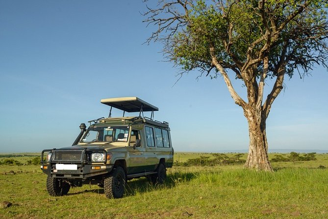 10-Day Private Spectacular Big 5 Wildlife Safari and Beach Holiday - Cancellation Policy Details