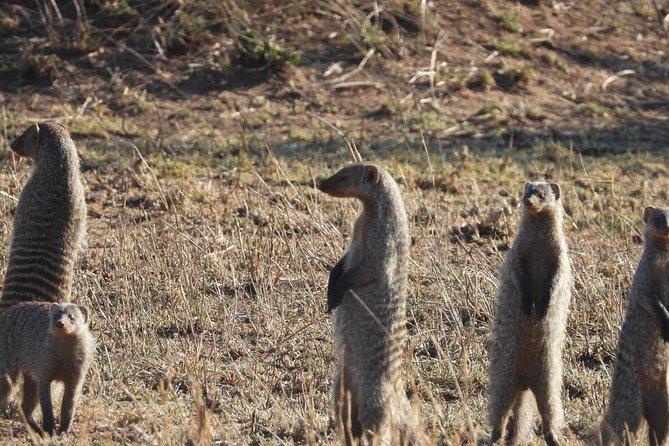 10 Days Serengeti Wildlife Safari and Tanzania Cultural Tour