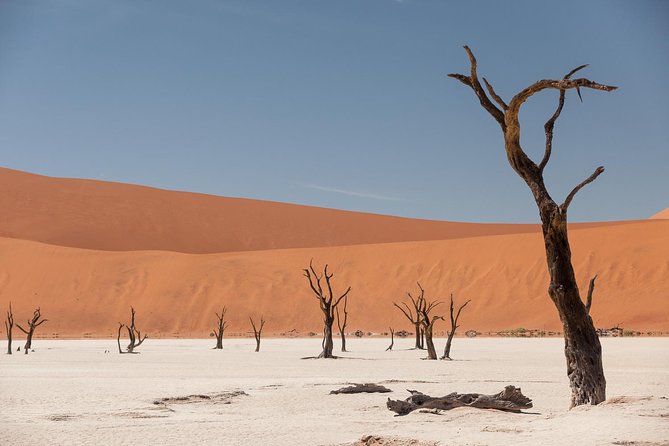 11 Day Breathtaking Namibia Guided Tour - Booking Information