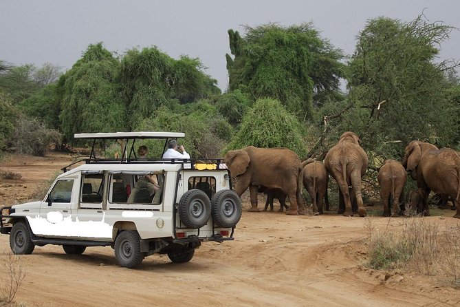 13 Days Kenya Wildlife Safari Trail on 4xx4 Land Cruiser Jeep - Additional Information