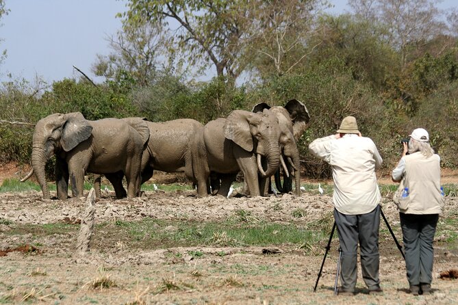 15-Day Ghana Wildlife Private Tour - Frequently Asked Questions