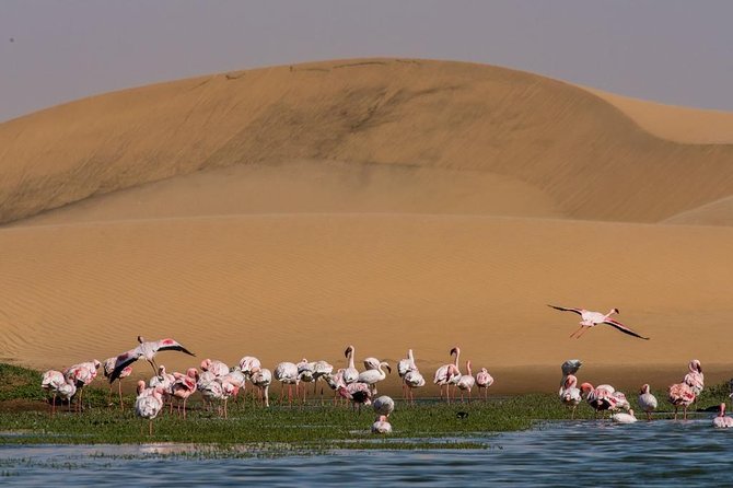 15 Days/ 14 Nights All About Namibia - Self-drive - Self-Drive Tips and Guidelines