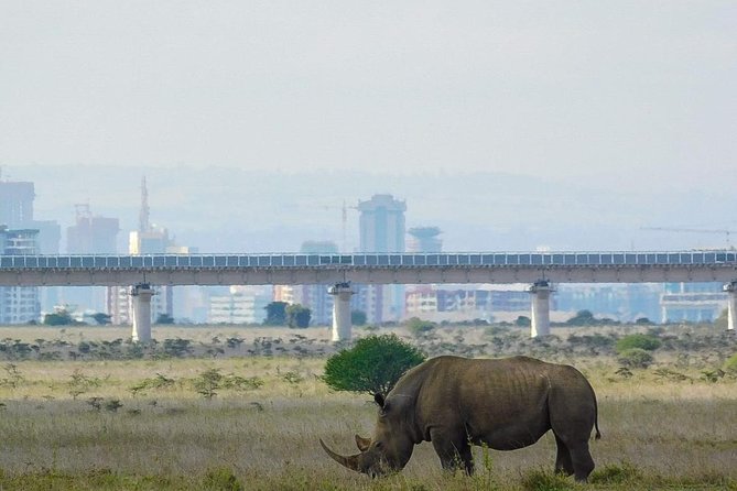 1Day Tour Nairobi Park ,Giraffe Center,Karen Blixxen Guided Tour - Frequently Asked Questions