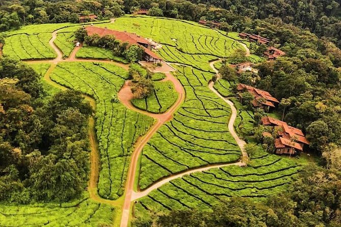 2 Day Canopy Walk Adventure and Lake Kivu Tour - The Sum Up