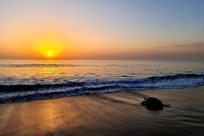 2-day Private Tour to Ras Al Hadd - Additional Information