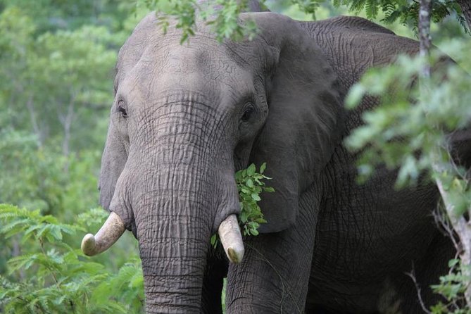 2-Day Tsavo East NP Joining Safari - Frequently Asked Questions