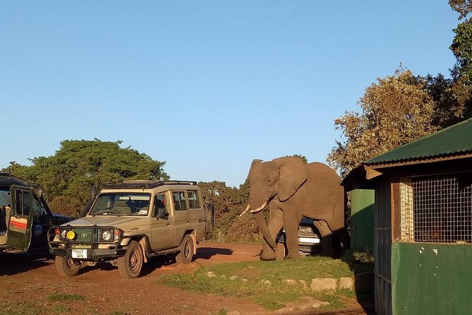2 Days / 1 Night Join Group Safari - Pricing Information
