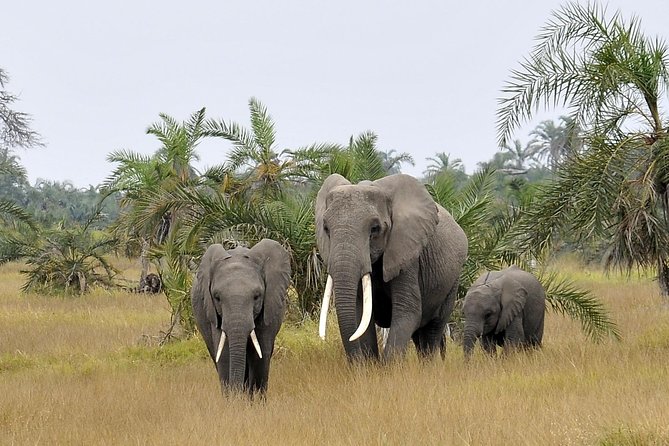 2 Days Amboseli Getaway Trip - Directions and Accessibility
