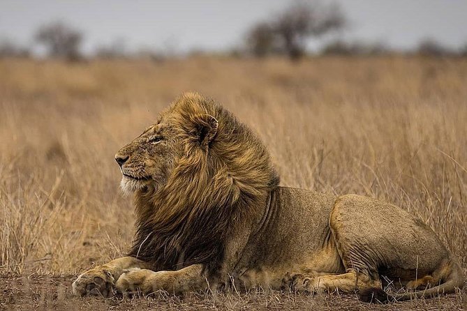 2-Days Amboseli National Park Safari Tour - Accessibility and Confirmation