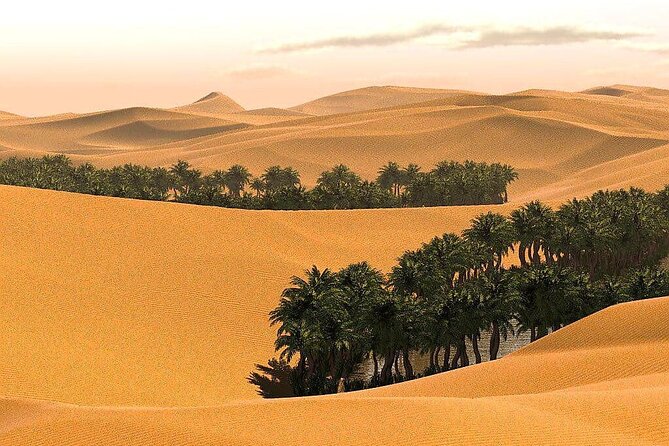 2 Days and 1 Night Private Wahiba Sands Desert Tour - Meals and Dining Experience