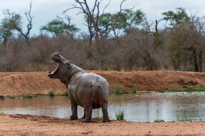 2 Days Cultural Swaziland Hlane National Park - Accommodation Details