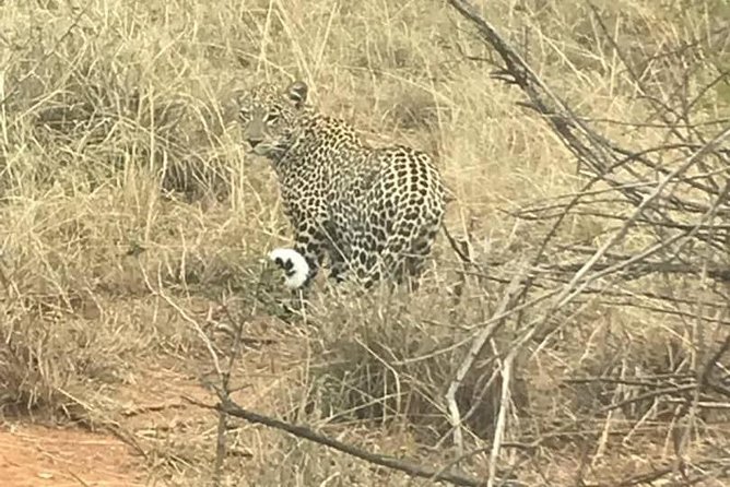 2 Days in Akagera National Park