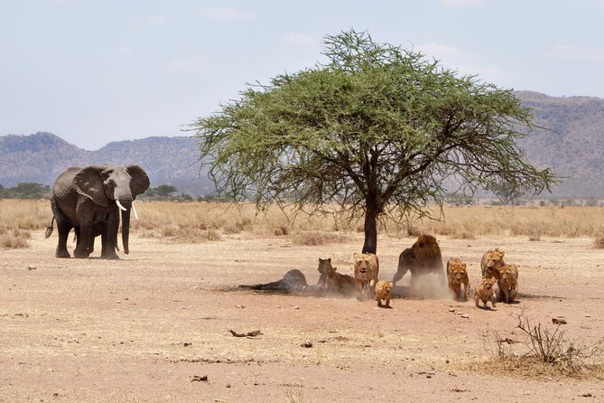 2 Days Lodge Safari - Lake Manyara and Ngorongoro Crater - Price Details