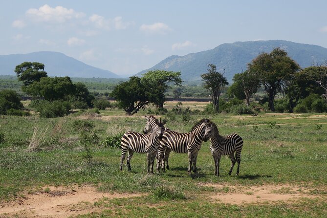 2 Days Mikumi Private Safari From Zanzibar With Accommodation - Itinerary Details