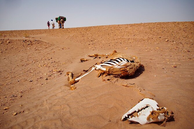 2 Days Private Tour From Marrakech to Zagora Desert - Accessibility and Pickup Details