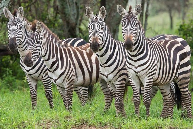 2 Days Ruaha National Park - Frequently Asked Questions