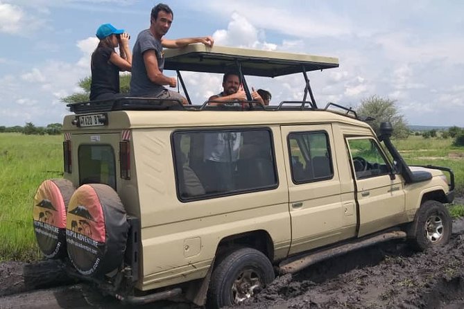 2 Days Tanzania Safari - Lake Manyara and Tarangire National Park - Customer Reviews