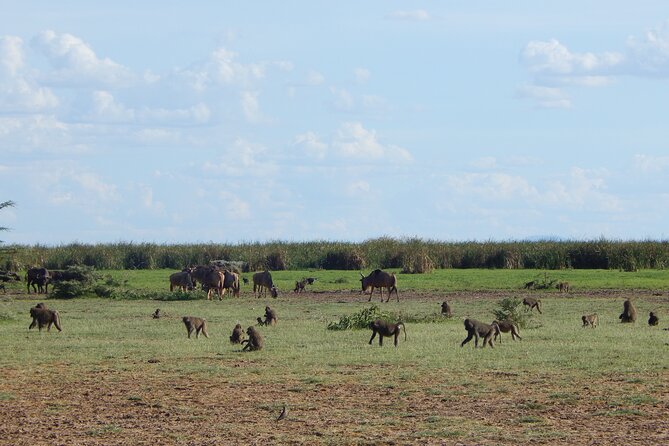 2 Days Tarangire and Ngorongoro Crater Tour - The Sum Up