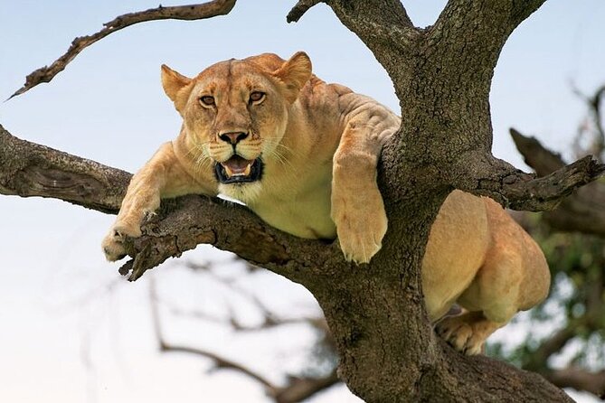 2 Days Tarangire and Ngorongoro Group Tour - Booking and Cancellation Policy