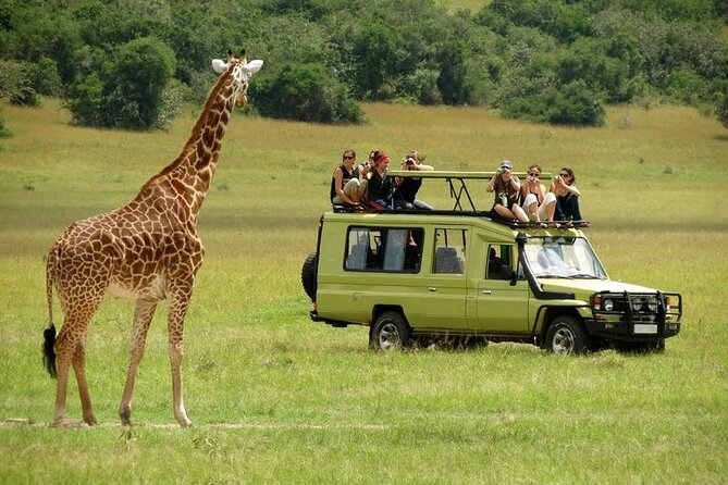 2 Days Tour Tarangire & Ngorongoro - Traveler Reviews