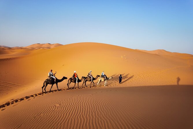 2 Days Trip Sahara Desert From Fez Finish in Marrakech - Customer Experience